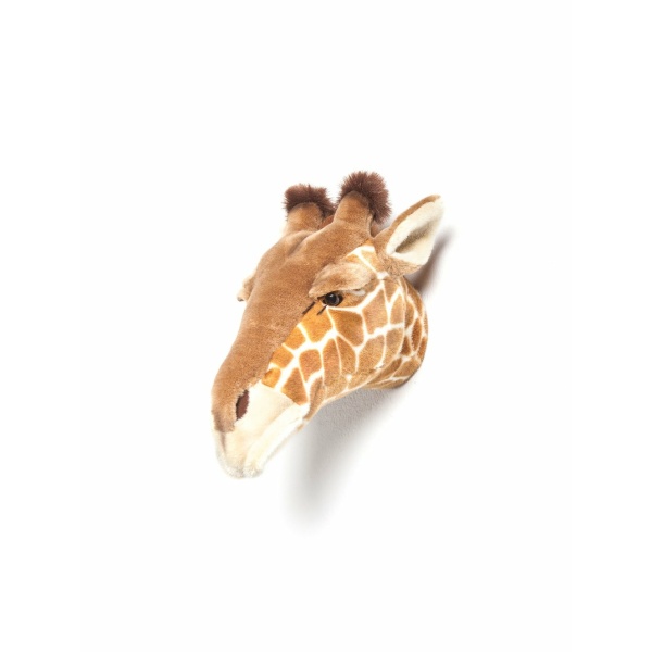 Trofeo Giraffa