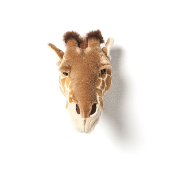 Trofeo Giraffa