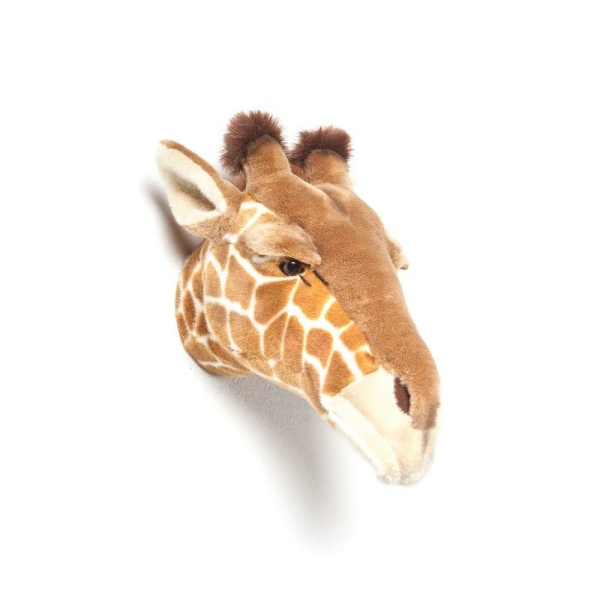 Trofeo Giraffa
