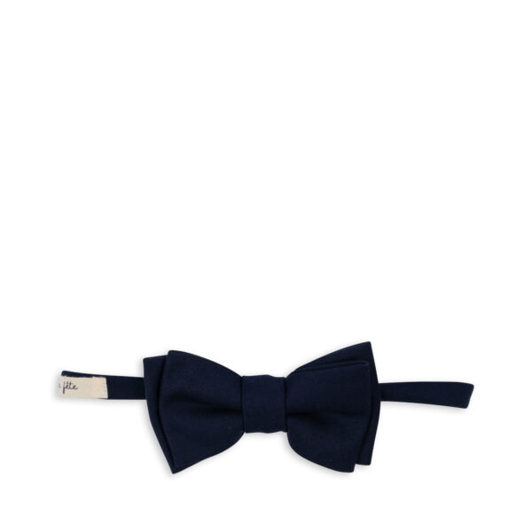 Papillon blu
