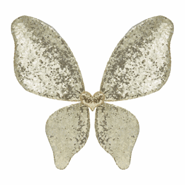 Ali da fata con paillettes scintillanti