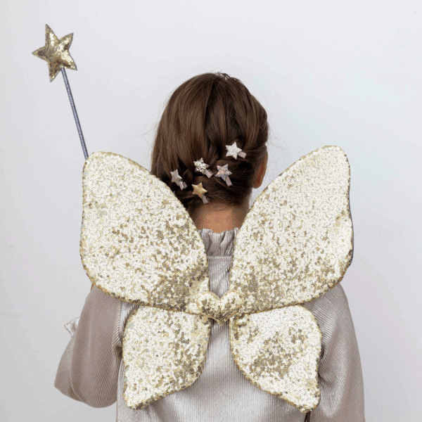 Ali da fata con paillettes scintillanti