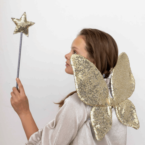 Ali da fata con paillettes scintillanti