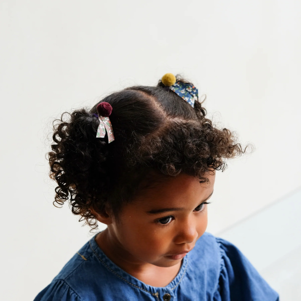 Pom pom clips