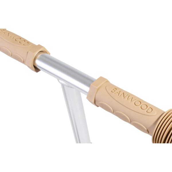 Scooter Eco