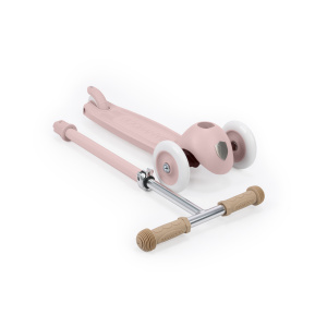 Scooter Eco