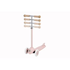 Scooter Eco