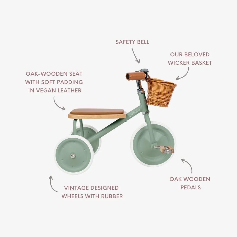 C Banwood TRIKEFOREST 6 P.JPG Triciclo Vintage Trike
