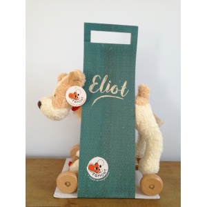 Pull-along cane eliot