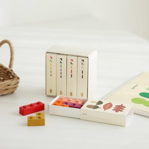 Crayon Block Seasons – Set di Pastelli a Mattoncino 4 Stagioni