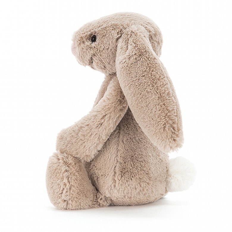 Bashful Bunny Little