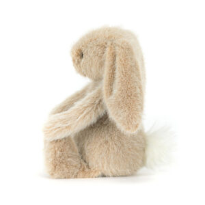 C Jellycat BASS6TCAR 3 P.JPG Flufflet Bunny