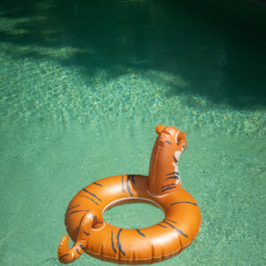 Salvagente Tigre