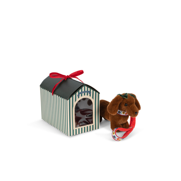 Cucciolo di cane con guinzaglio