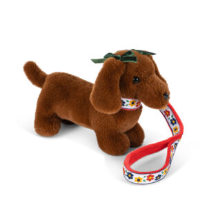 Cucciolo di cane con guinzaglio