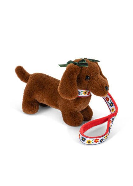 Cucciolo di cane con guinzaglio
