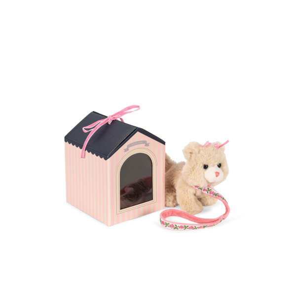 Cucciolo di gatto con guinzaglio