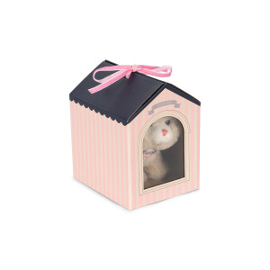 Cucciolo di gatto con guinzaglio