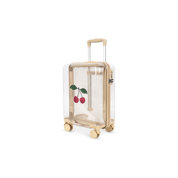 Valigia Trasparente da Viaggio
