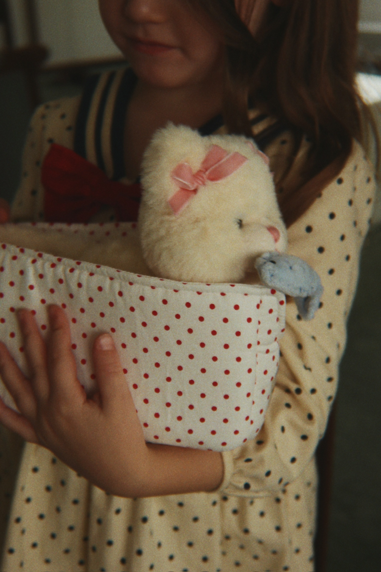 Peluche Calore Cat con Casetta