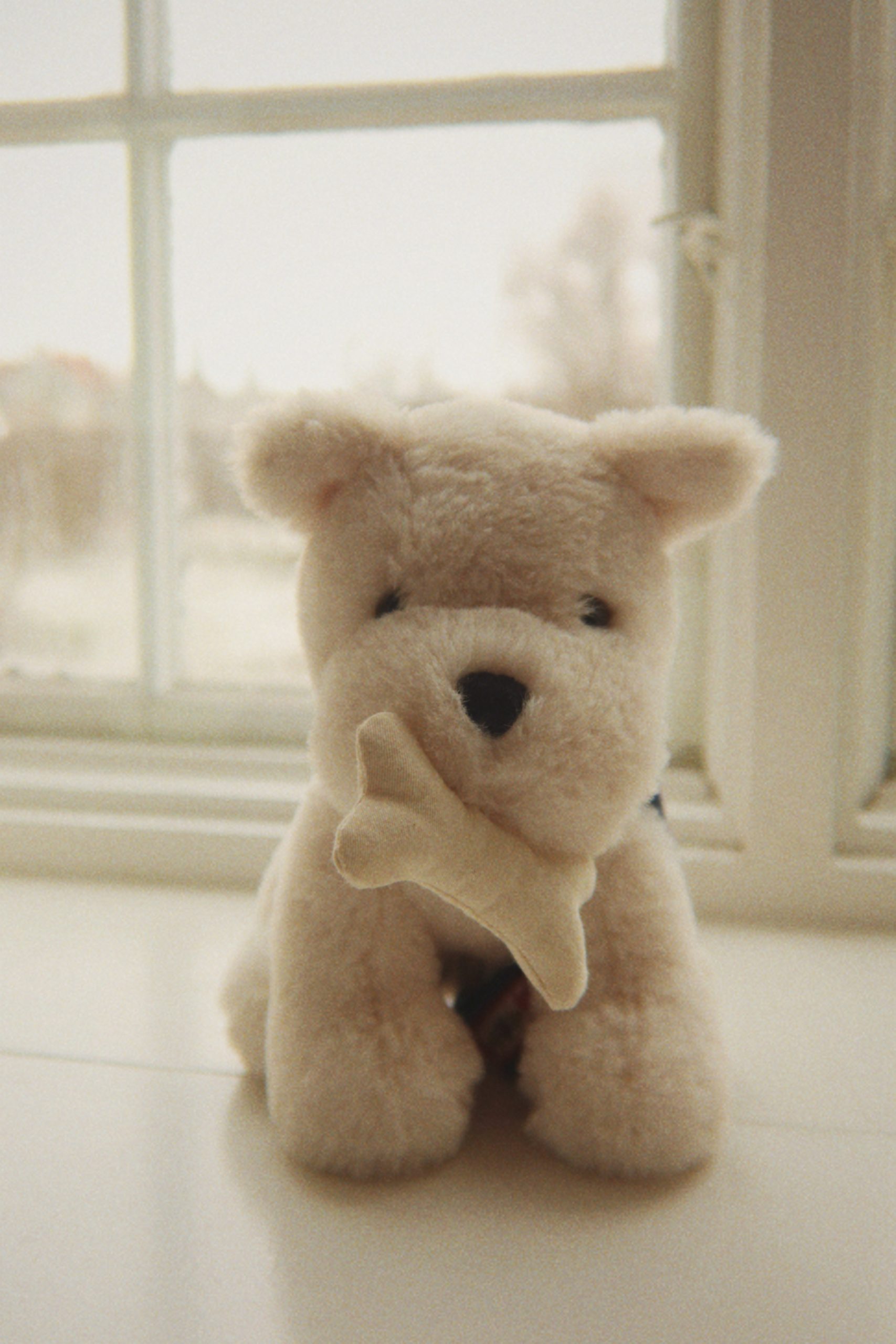 Peluche Terry Puppy con Trasportino