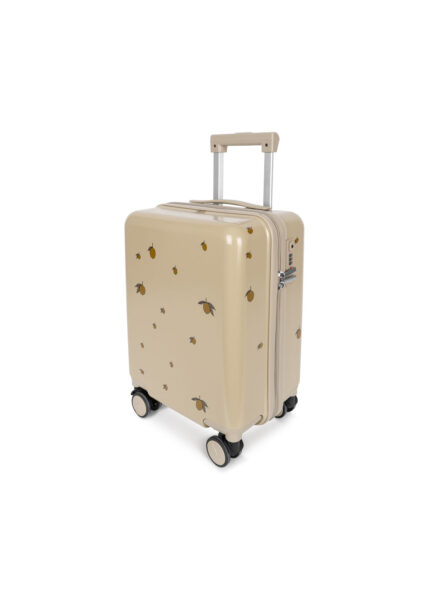 Trolley da viaggio