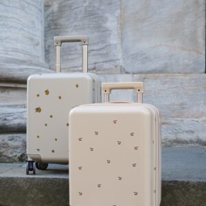 Trolley da viaggio