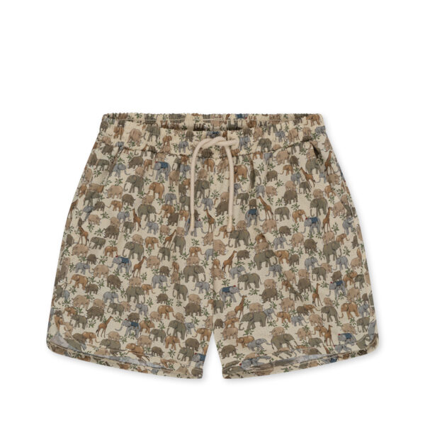 Boxer mare – Safari