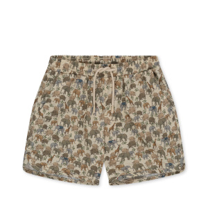 Boxer mare – Safari
