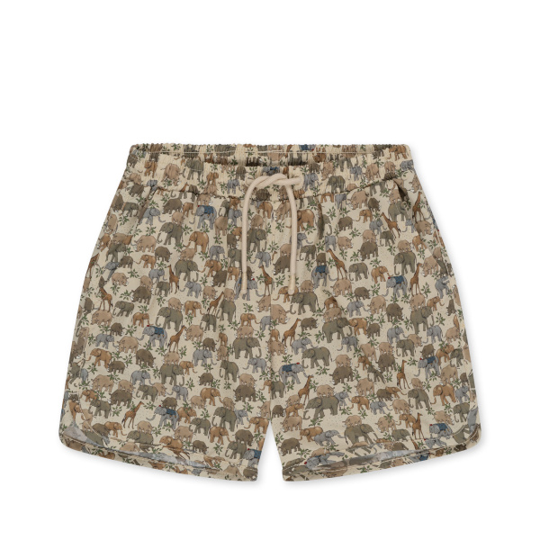 Boxer mare – Safari