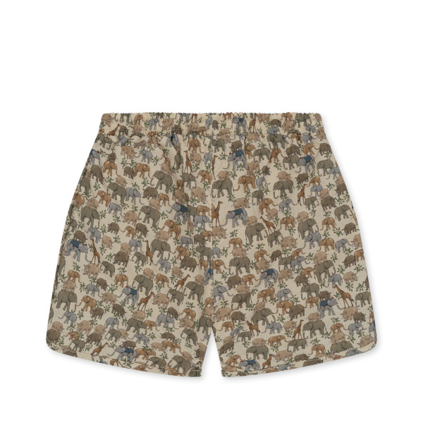 Boxer mare – Safari