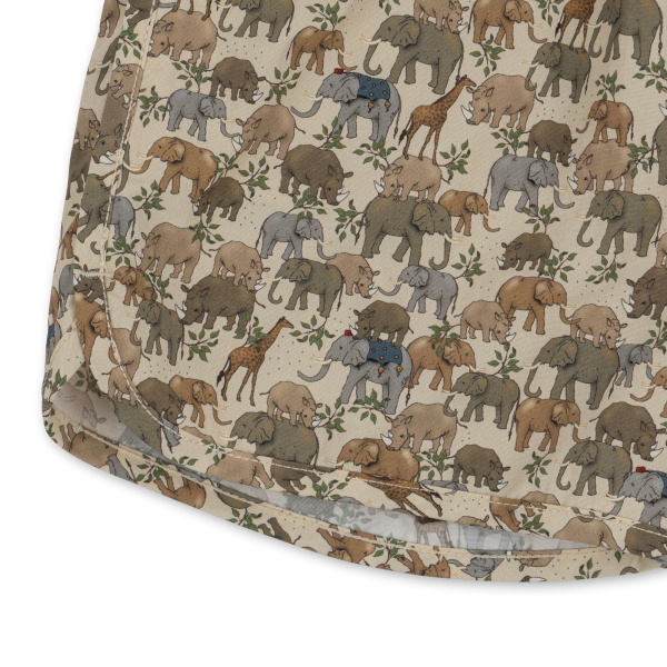 Boxer mare – Safari