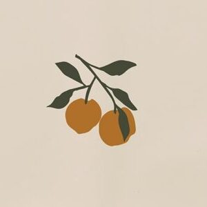 Peach/Sea shell