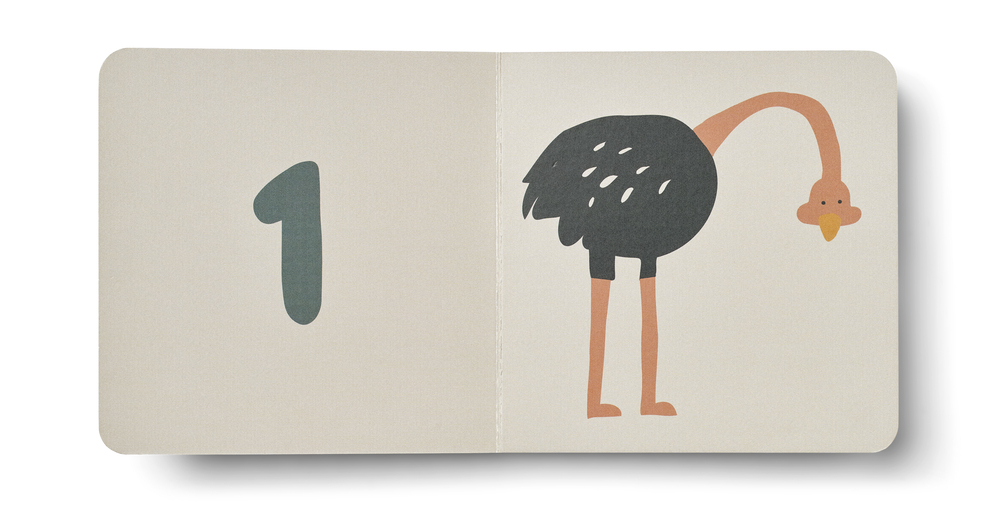 Libro illustrato Bertie