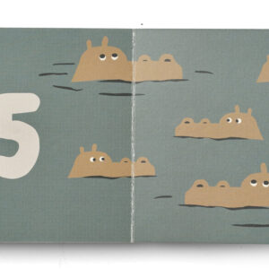 Libro illustrato Bertie