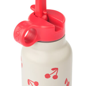 Borraccia Falk – 500 ml