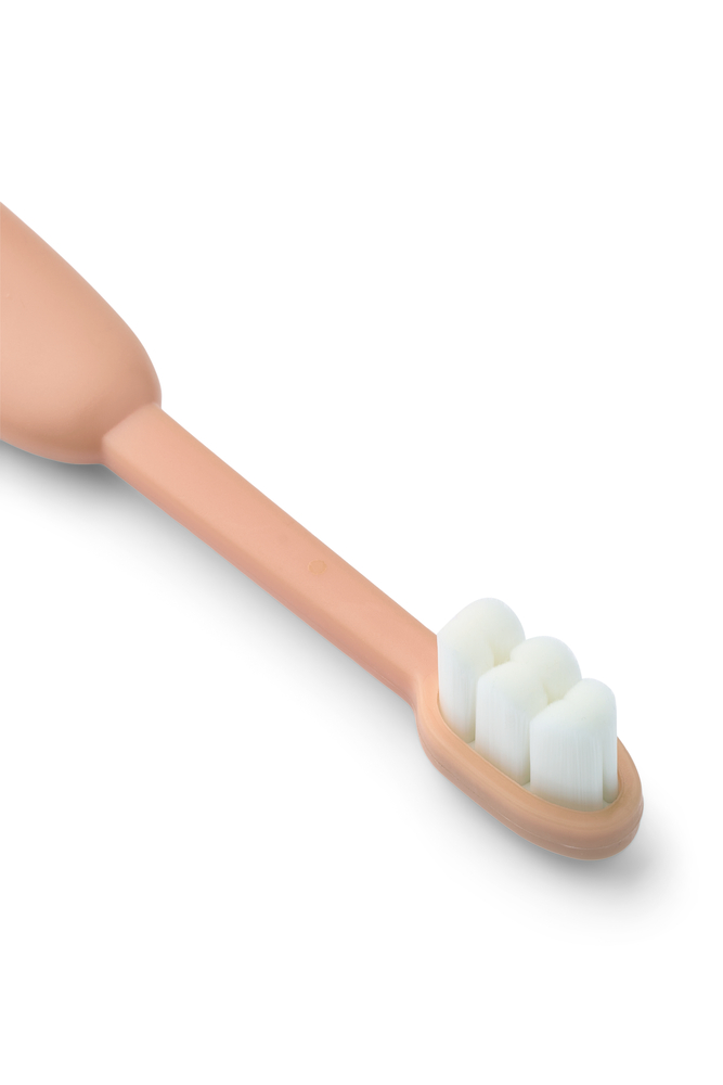 Set di Spazzolini per denti Fabio