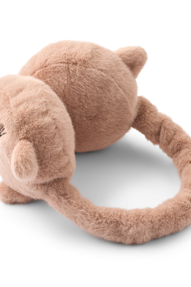 Paraorecchie Gatto