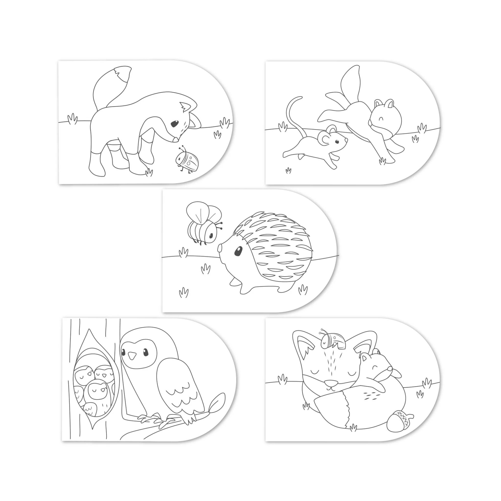 Libro di colori Forest Friends