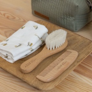 SET PETTINE E SPAZZOLA Legno