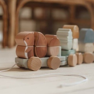 Trenino impilabile – Friend Forest