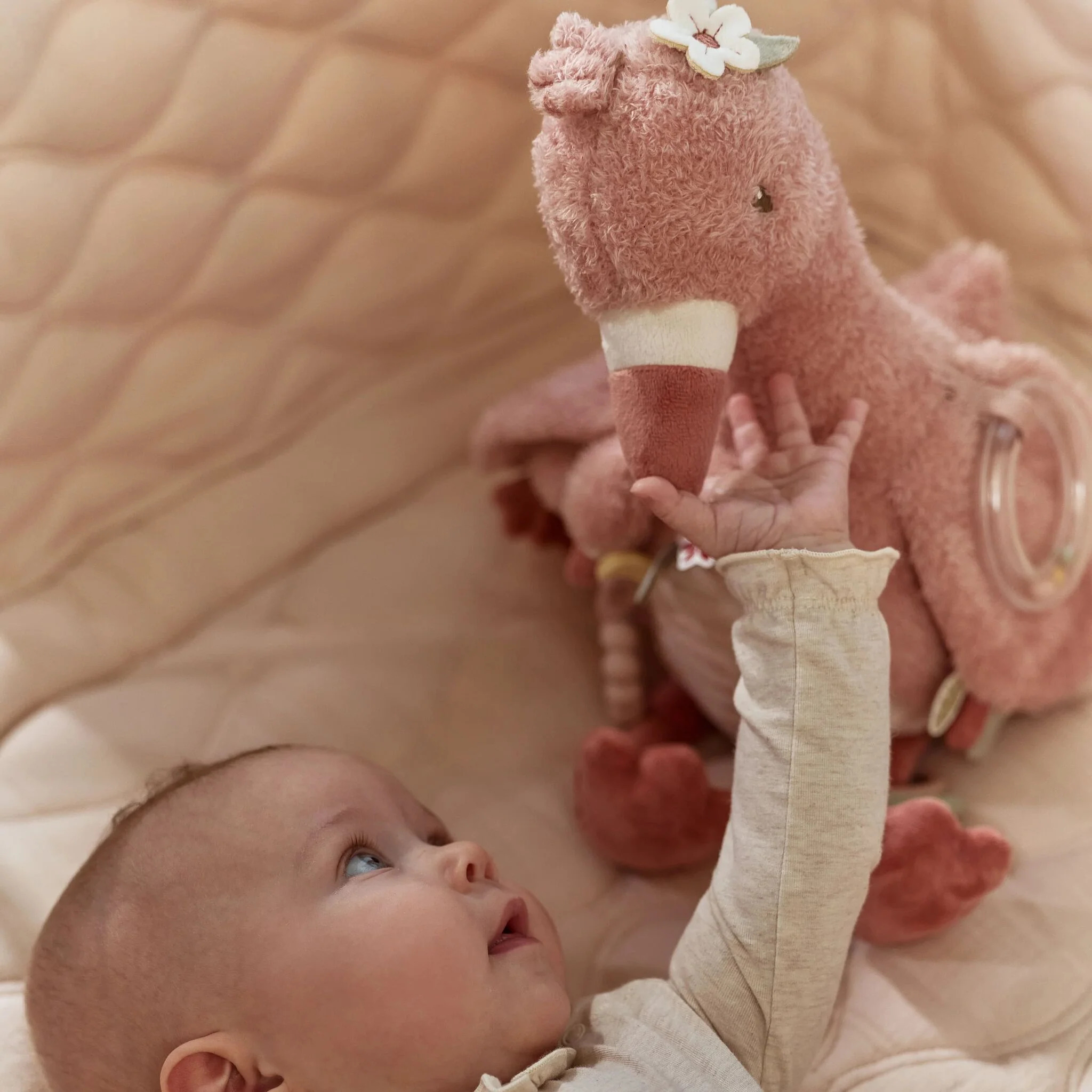 C---little dutch---LD8318FLAMINGO_2_P.JPG Fenicottero Attività Morbido