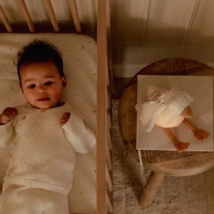 C Little Dutch LD8440GOOSE 6 P.JPG Dolce Goose Light & Sound