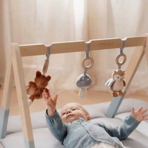 Babygym – Forest Friends