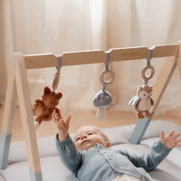 Babygym – Forest Friends
