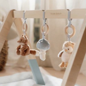 Babygym – Forest Friends