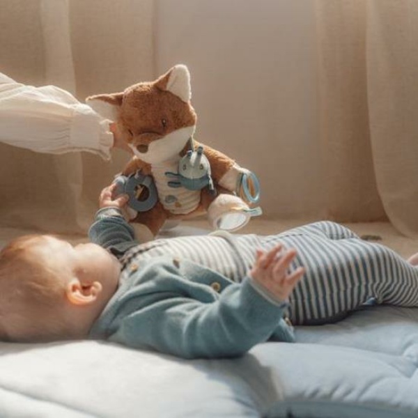 Activity Fox – Forest Friends