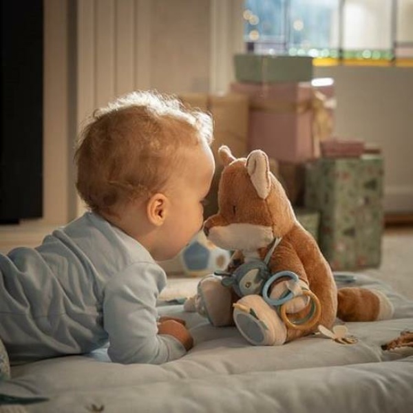 Activity Fox – Forest Friends