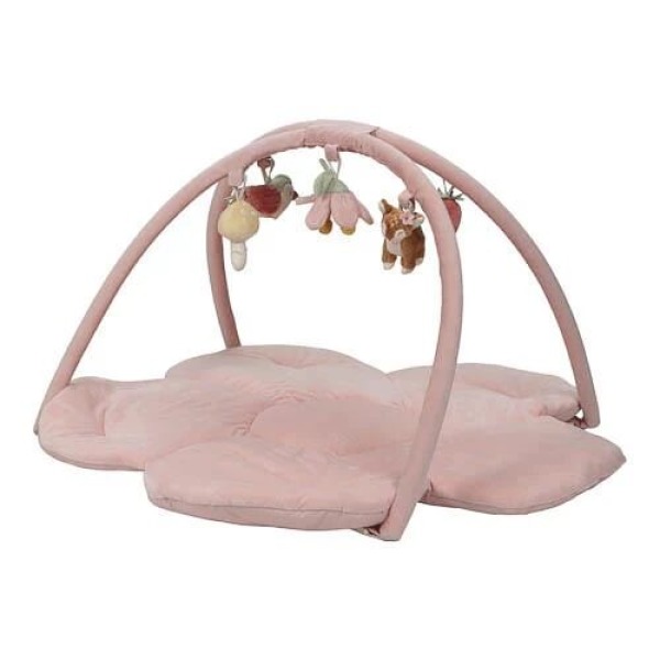 Palestrina morbida – Fairy Garden