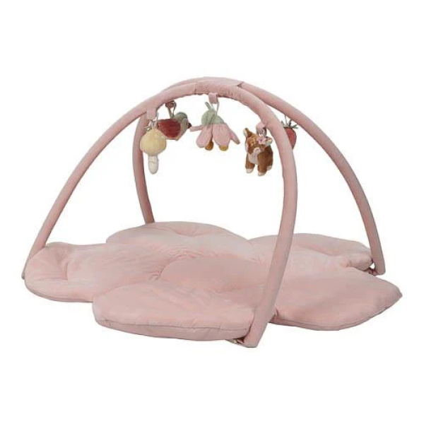 Palestrina morbida – Fairy Garden